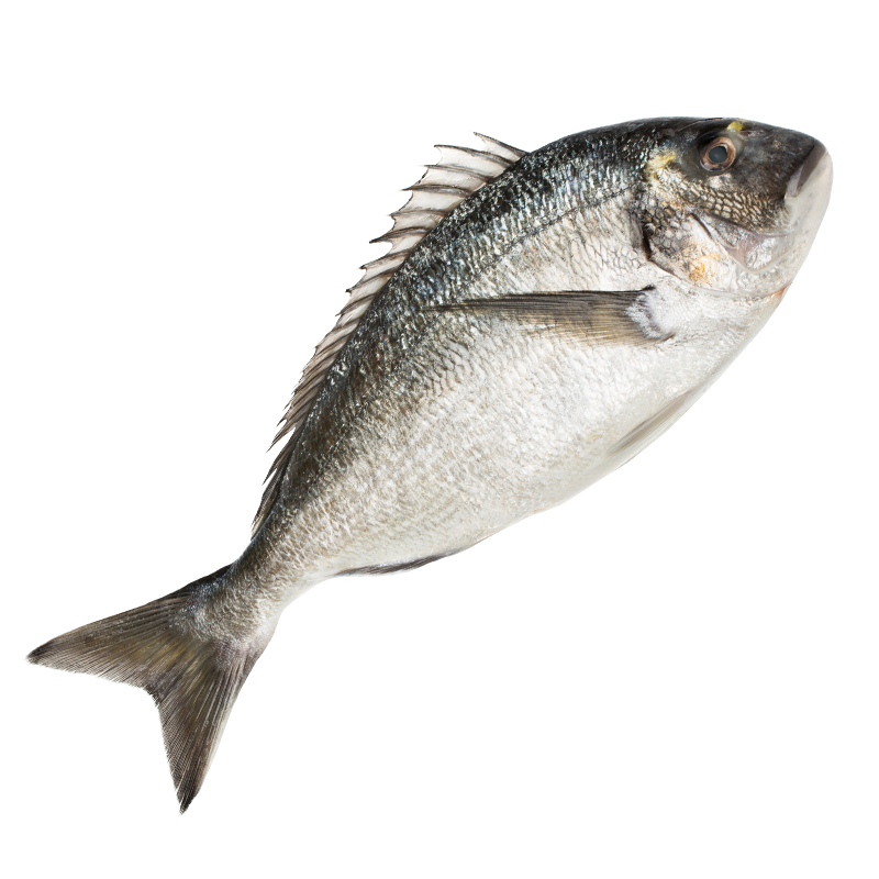 Дорада Охлажденная вес 1000-1500 грамм
Крупная рыба из Средиземноморья, пользующаяся большим спрососм и очень вкусная. Эту рыбку лучше всего запекать в духовке с приправой для рыбы Carmencita. С этой испанской приправой рыбка получается по испански вкусной и душистой.
Вес рыбы от 1 килограмма. Бесплатная чистка и доставка.