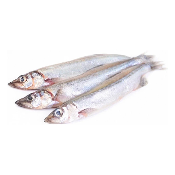 Мойва - морская рыба, относится к диетическим продуктам, является лидером по содержанию витаминов А и D, также в ней содержится большое количество фтора, селена, кальция, йода, а в отношении селена мойва имеет преимущество перед большинством сортов мяса.

Поэтому эту маленькую, но очень полезную рыбку, обязательно рекомендуют вводить в рацион всем нуждающимся в полноценном питании, людям пожилого возраста и тем, кто восстанавливает здоровье и чей образ жизни связан с вредным производством. 

Мойва очень быстро готовится. И вы удивитесь, как много вкусного и необычного можно приготовить из нее. Мойву можно готовить на пару, на сковороде, на гриле, в духовке. Можно солить, коптить и вялить. А можно даже сделать консервы и удивить всех ароматными домашними шпротами с насыщенным натуральным вкусом!

Размер рыбки 35-45 штук в 1кг.
Страна Норвегия
