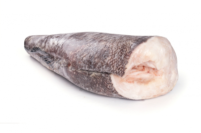 Чилийский сибас или патагонский клыкач &mdash; деликатесная рыба с бесподоным вкусом. Рыба имеет благородный вкус без характерного рыбного запаха,  мясо у чилийского сибаса мягкое и удивительно нежное. Благодаря высокой жирности и ценным полезным свойствам, рыбу называют белым золотом. Можно эксперементировать с различными рецептами. 

Вес одной рыбы достигает 6-8 килограмм.